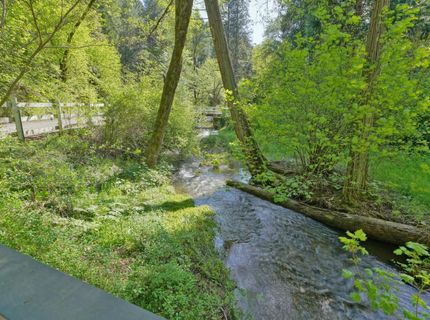 4965 Clear Creek Rd, Placerville, CA 95667 Photo