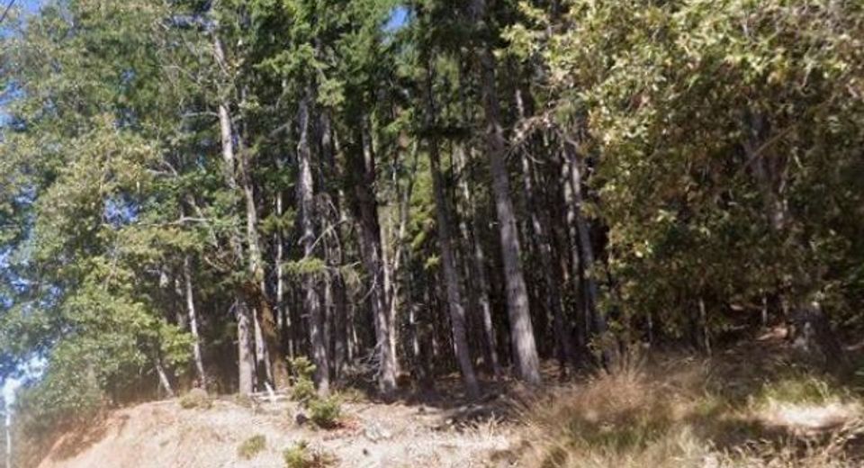 2478 Bear Pl, Willits, CA 95490 Photo