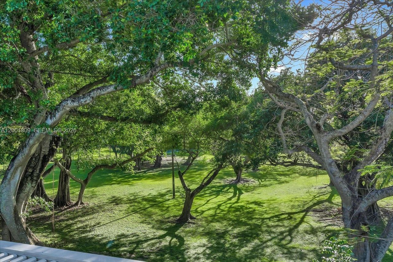 4090 Barbarossa Ave , Miami, FL 33133 Photo