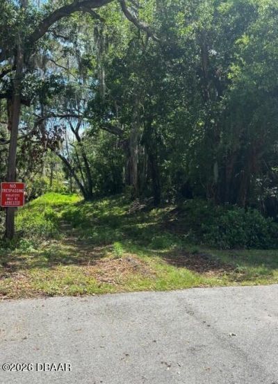 0 Brooks Street, New Smyrna Beach, FL 32168 Photo