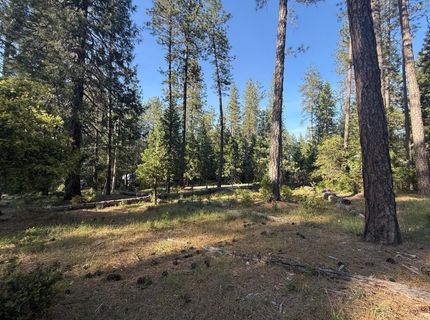 Pine Cone Ln, Meadow Vista, CA 95602 Photo