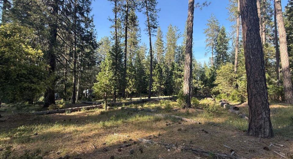 Pine Cone Ln, Meadow Vista, CA 95602 Photo