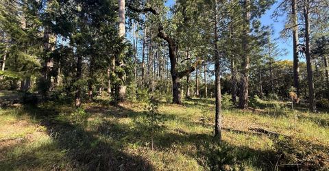 Pine Cone Ln, Meadow Vista, CA 95602 Photo