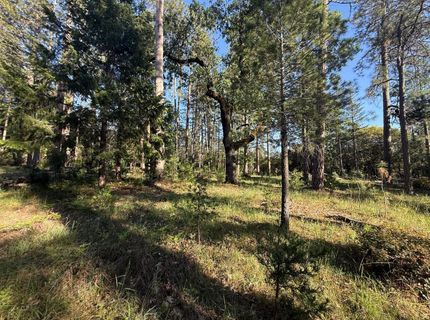 Pine Cone Ln, Meadow Vista, CA 95602 Photo