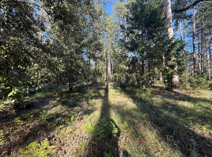 Pine Cone Ln, Meadow Vista, CA 95602 Photo