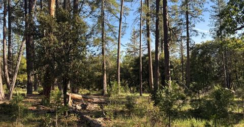 Pine Cone Ln, Meadow Vista, CA 95602 Photo