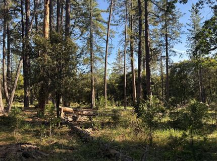 Pine Cone Ln, Meadow Vista, CA 95602 Photo