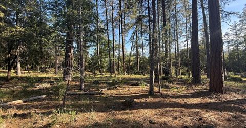 Pine Cone Ln, Meadow Vista, CA 95602 Photo