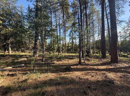 Pine Cone Ln, Meadow Vista, CA 95602 Photo