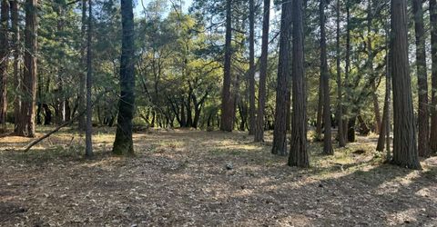 Pine Cone Ln, Meadow Vista, CA 95602 Photo