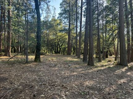 Pine Cone Ln, Meadow Vista, CA 95602 Photo