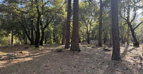 Pine Cone Ln, Meadow Vista, CA 95602 Photo