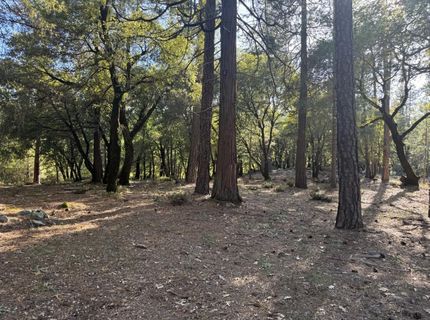 Pine Cone Ln, Meadow Vista, CA 95602 Photo