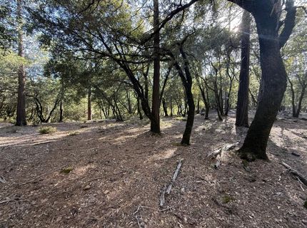 Pine Cone Ln, Meadow Vista, CA 95602 Photo