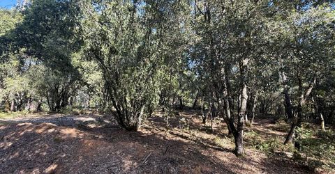 Pine Cone Ln, Meadow Vista, CA 95602 Photo