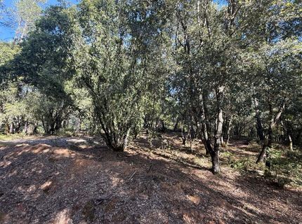 Pine Cone Ln, Meadow Vista, CA 95602 Photo