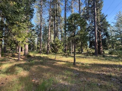 Pine Cone Ln, Meadow Vista, CA 95602 Photo