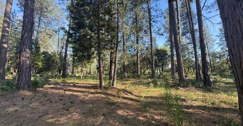 Pine Cone Ln, Meadow Vista, CA 95602 Photo