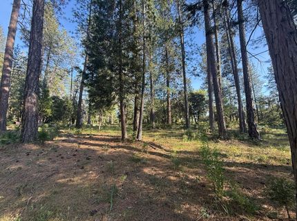 Pine Cone Ln, Meadow Vista, CA 95602 Photo