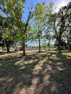 10025 Chestnut Drive , Hudson, FL 34669 Photo