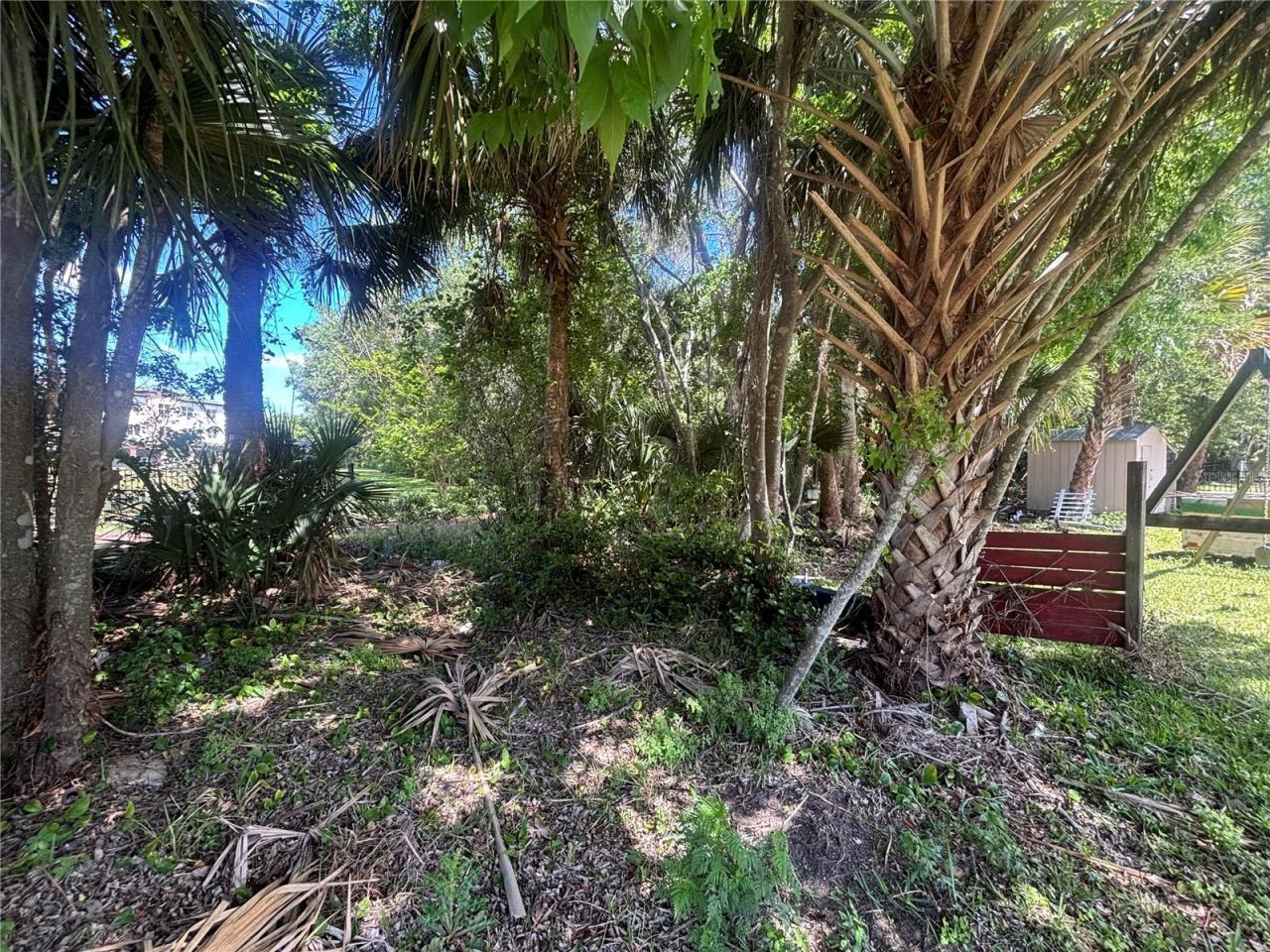 0 Brooks Street , New Smyrna Beach, FL 32168 Photo