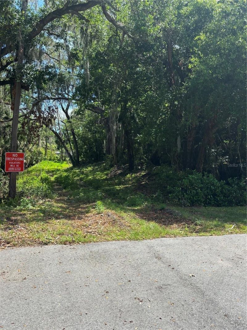 0 Brooks Street , New Smyrna Beach, FL 32168 Photo