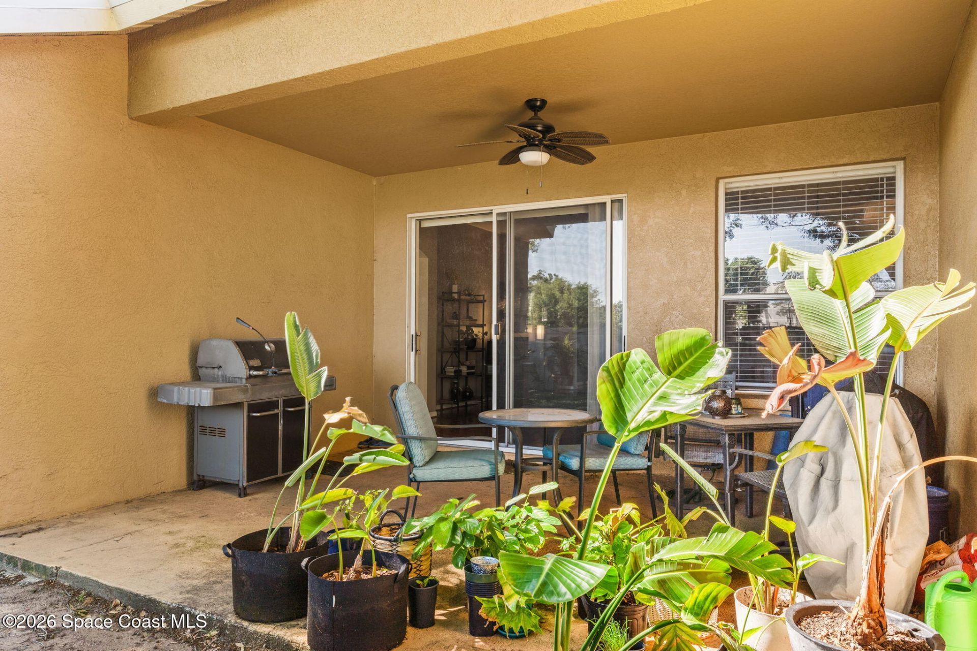 545 Tuscanny Street , Brandon, FL 33510 Photo