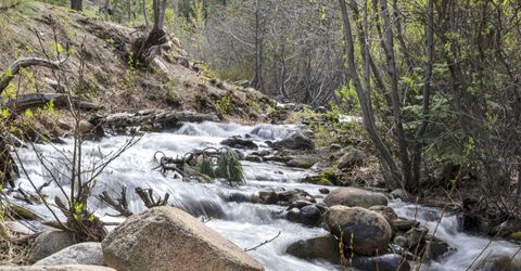 1300 Douglas Fir Drive, Reno, NV 89511 Photo