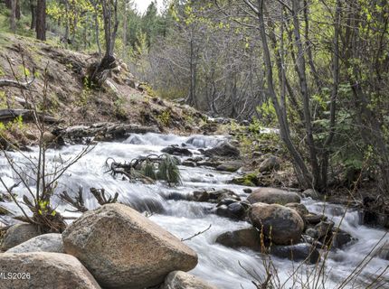 1300 Douglas Fir Drive, Reno, NV 89511 Photo