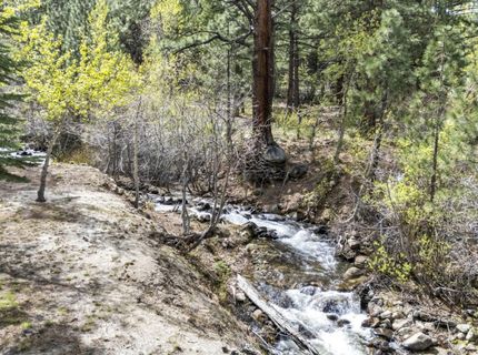 1300 Douglas Fir Drive, Reno, NV 89511 Photo