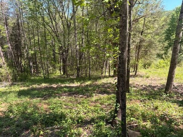 00 Bivens Court , Niota, TN 37826