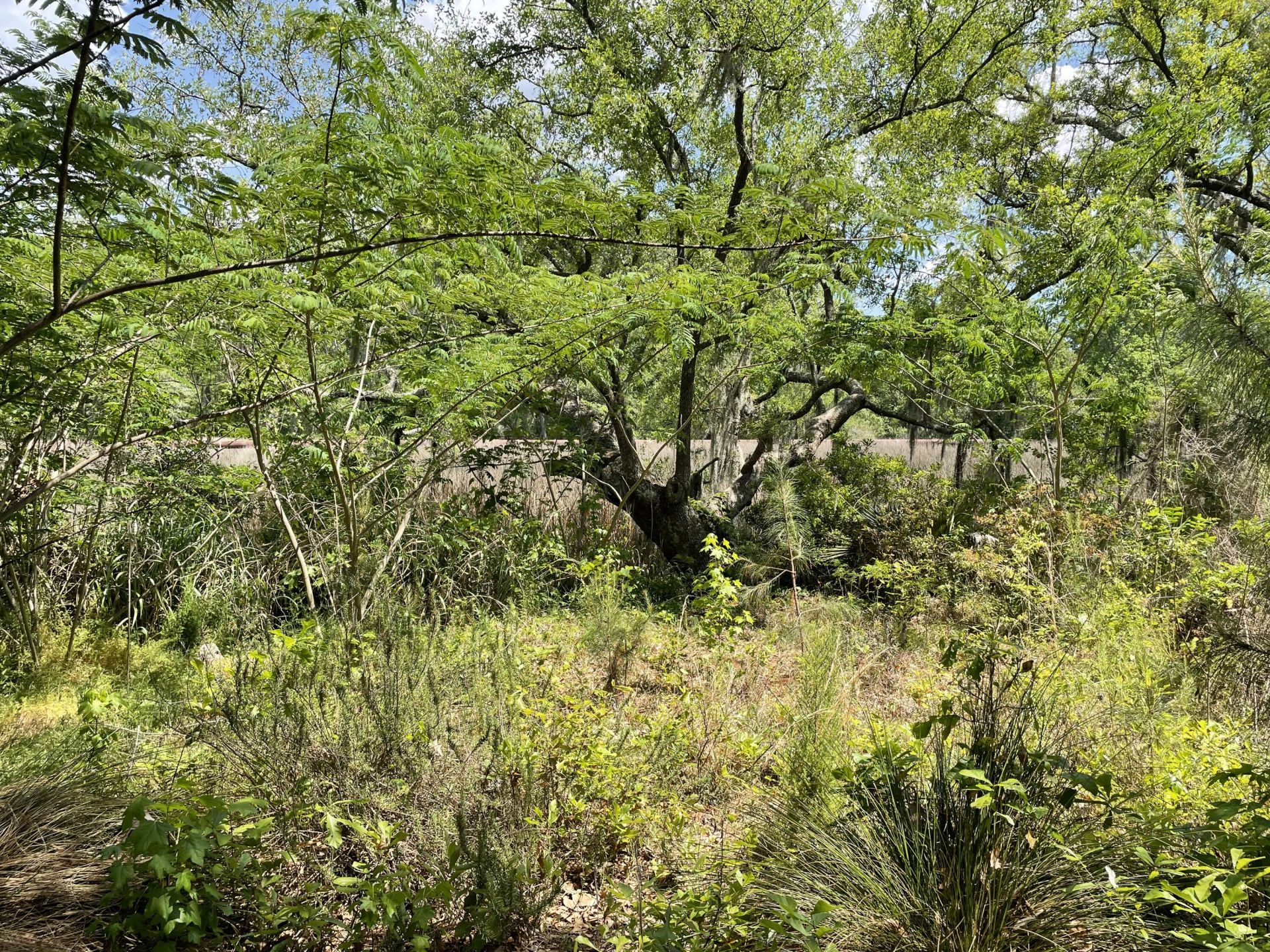 5754 St Angela Drive Photo 30