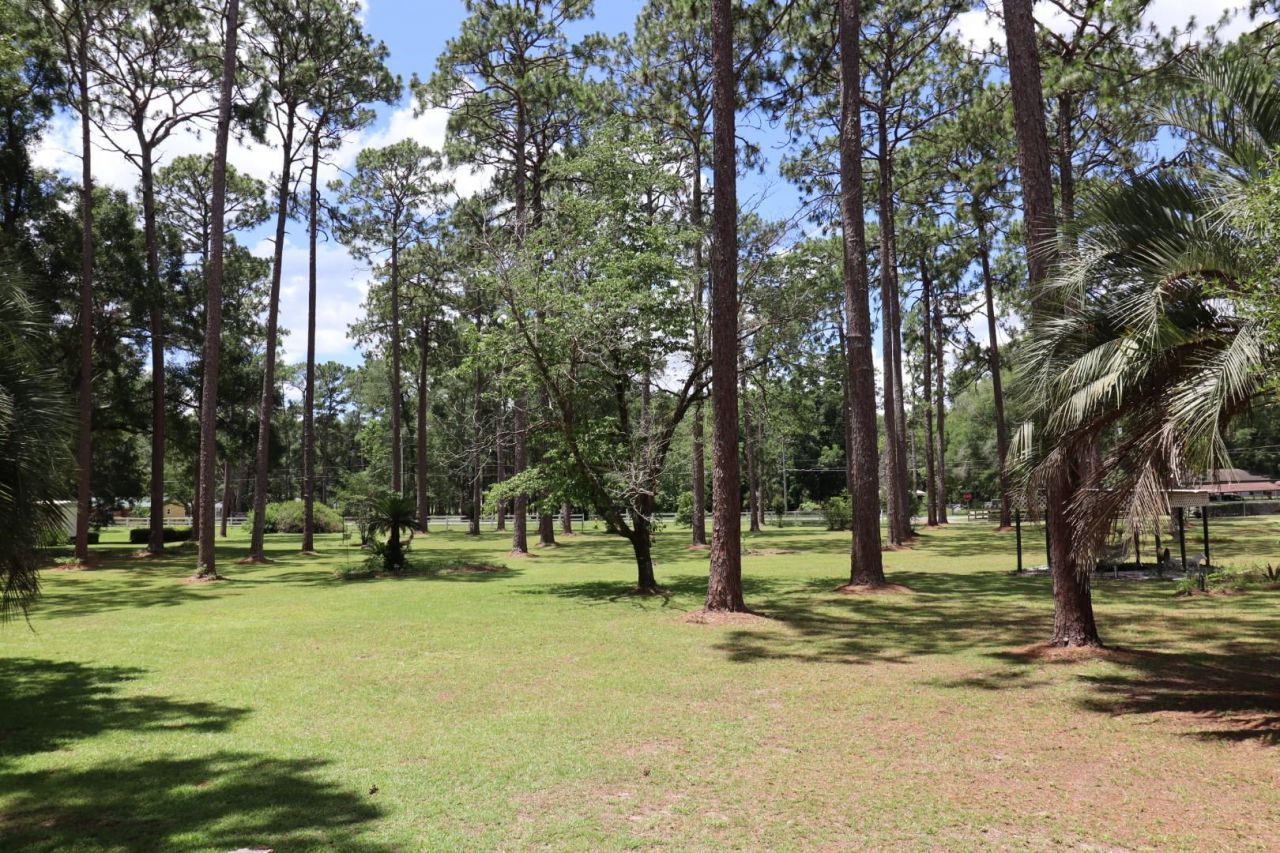 11350 Granny Lane, Tallahassee, FL 32305 Photo