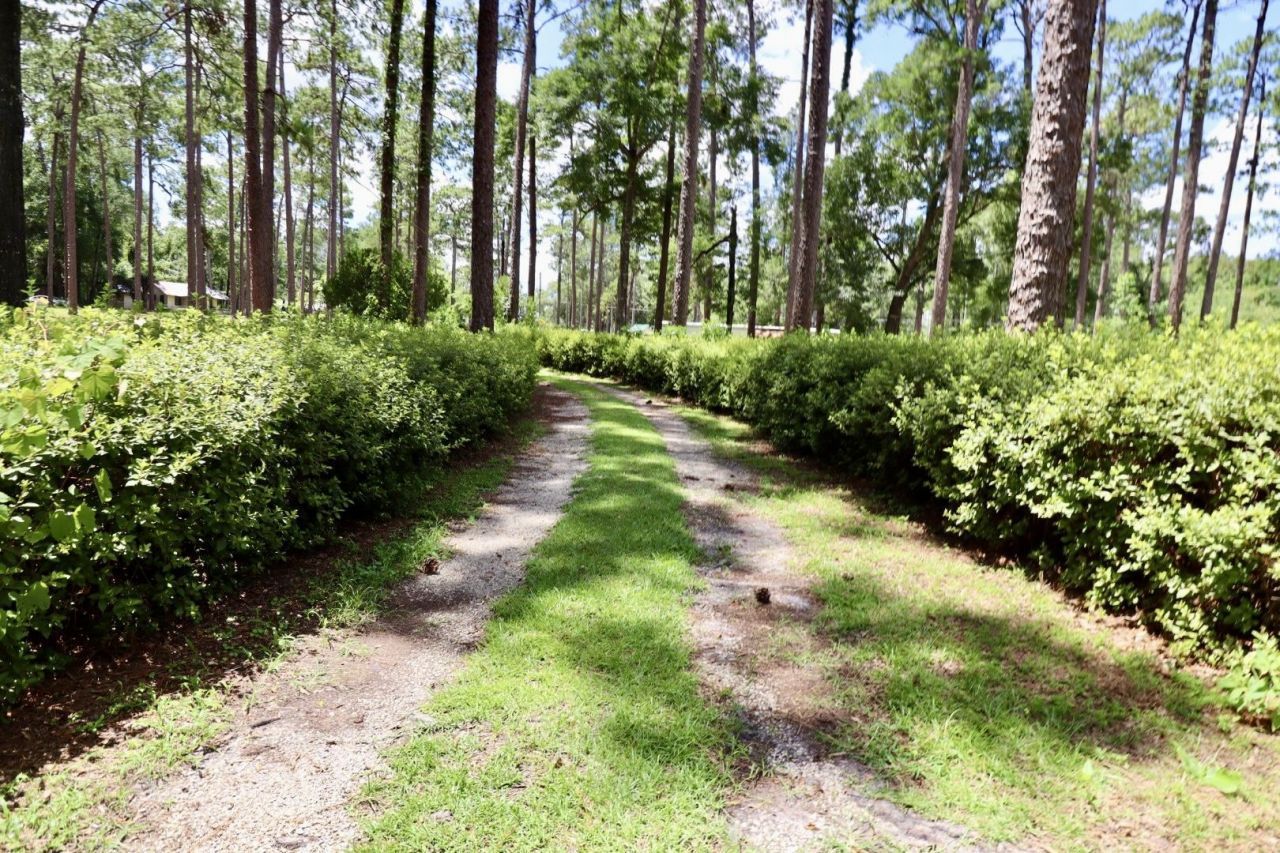11350 Granny Lane, Tallahassee, FL 32305 Photo