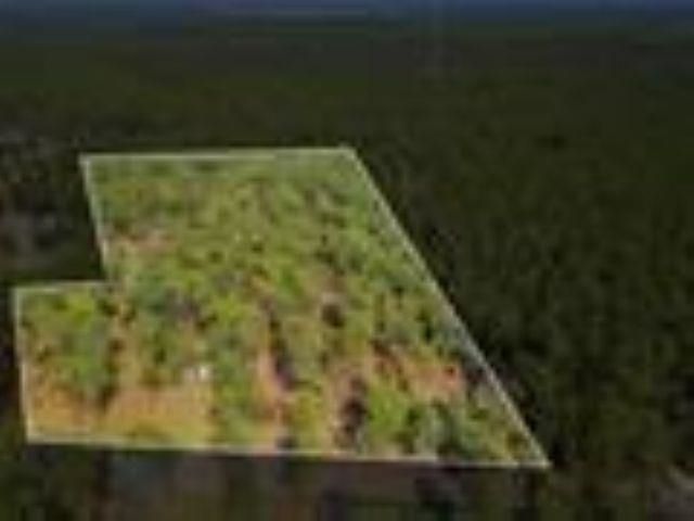 11350 Granny Lane, Tallahassee, FL 32305 Photo