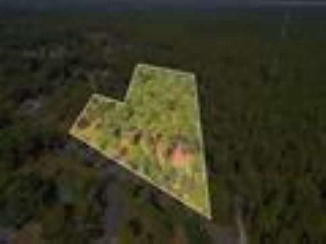 11350 Granny Lane, Tallahassee, FL 32305 Photo
