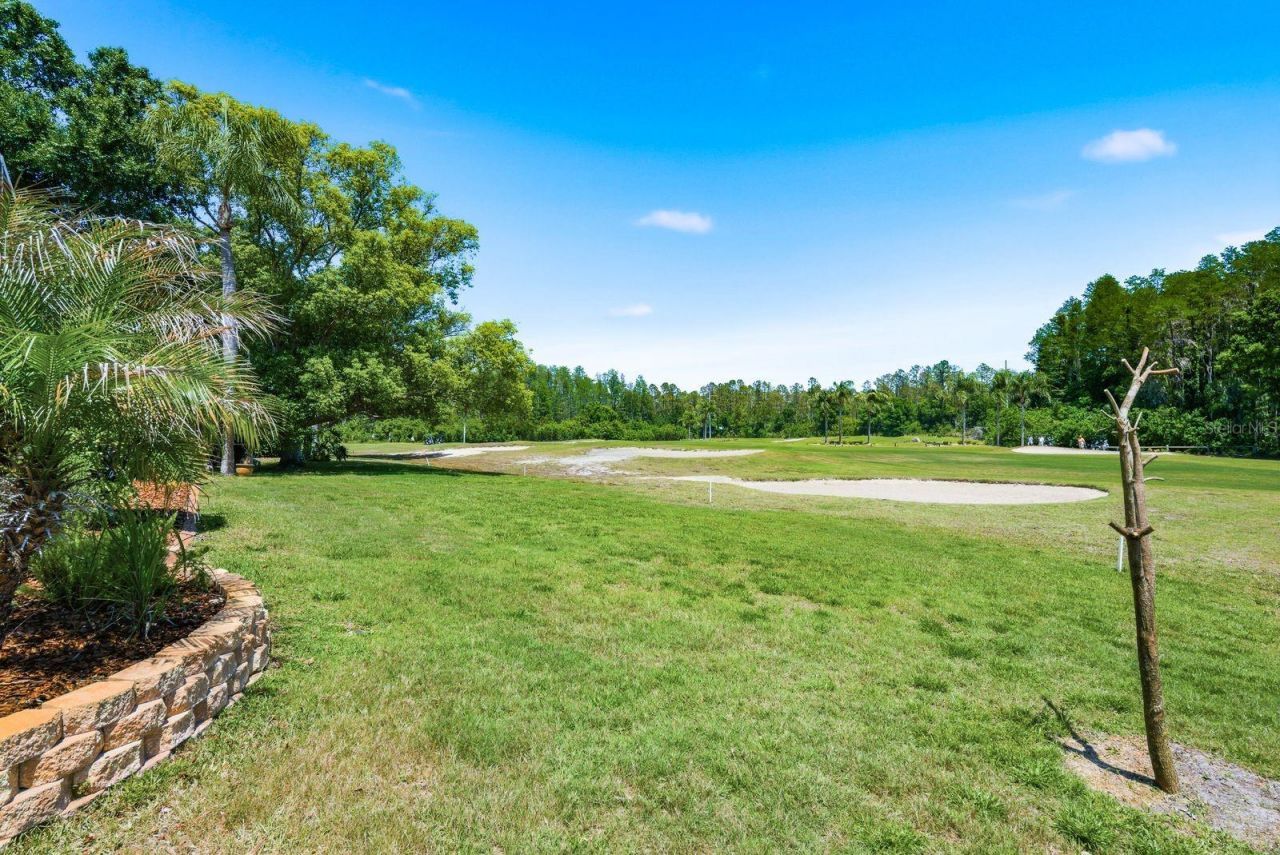 3343 Crescent Oaks Boulevard , Tarpon Springs, FL 34688 Photo