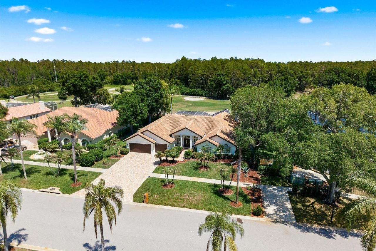 3343 Crescent Oaks Boulevard , Tarpon Springs, FL 34688 Photo