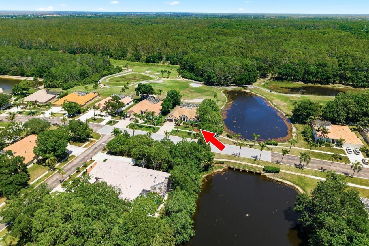 3343 Crescent Oaks Boulevard , Tarpon Springs, FL 34688 Photo