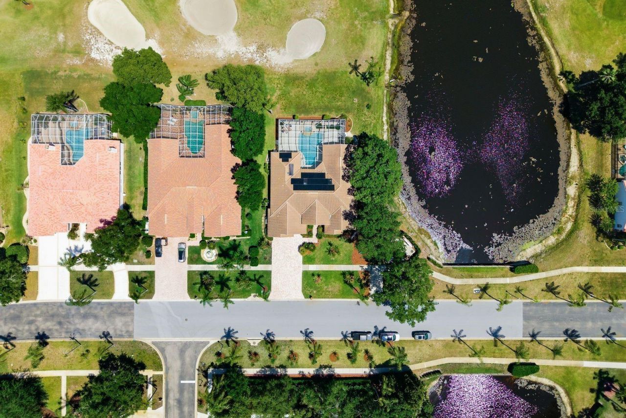 3343 Crescent Oaks Boulevard , Tarpon Springs, FL 34688 Photo