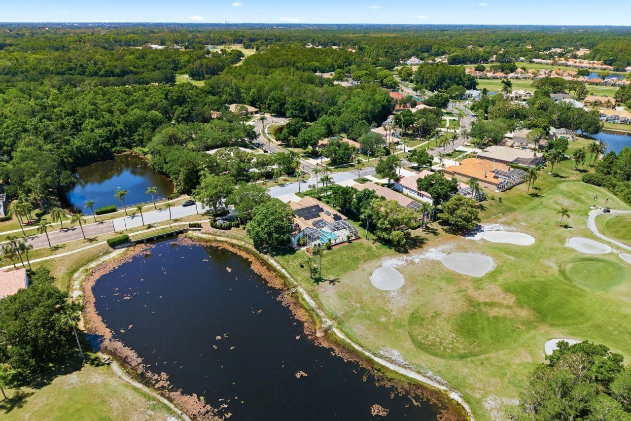 3343 Crescent Oaks Boulevard , Tarpon Springs, FL 34688 Photo