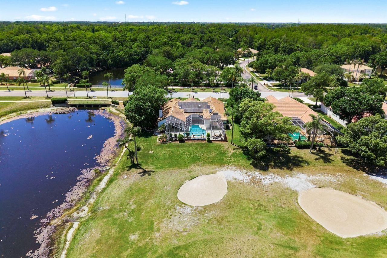 3343 Crescent Oaks Boulevard , Tarpon Springs, FL 34688 Photo