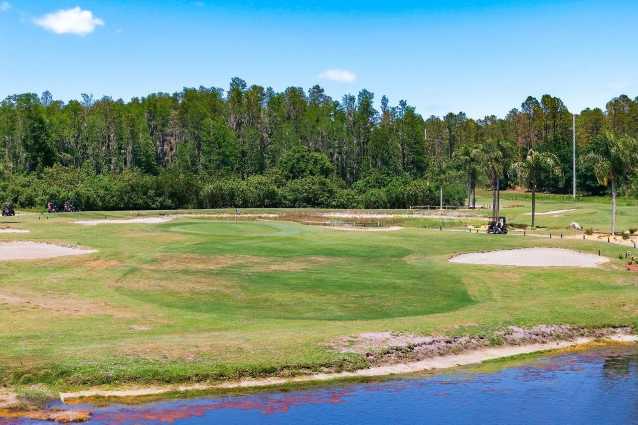 3343 Crescent Oaks Boulevard , Tarpon Springs, FL 34688 Photo