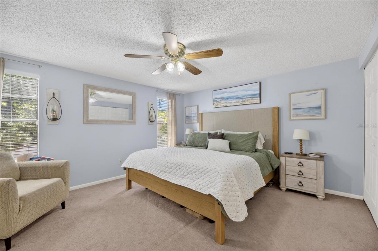 6609 Jennifer Drive, Temple Terrace, FL 33617 Photo