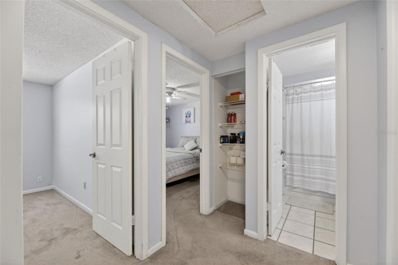 6609 Jennifer Drive, Temple Terrace, FL 33617 Photo