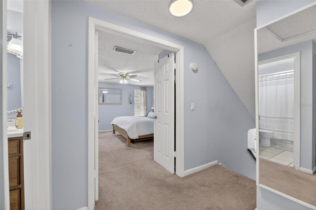6609 Jennifer Drive, Temple Terrace, FL 33617 Photo
