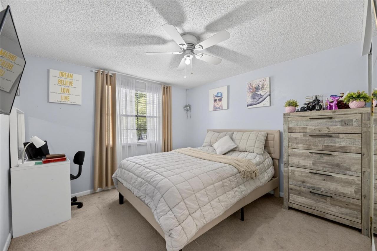 6609 Jennifer Drive, Temple Terrace, FL 33617 Photo
