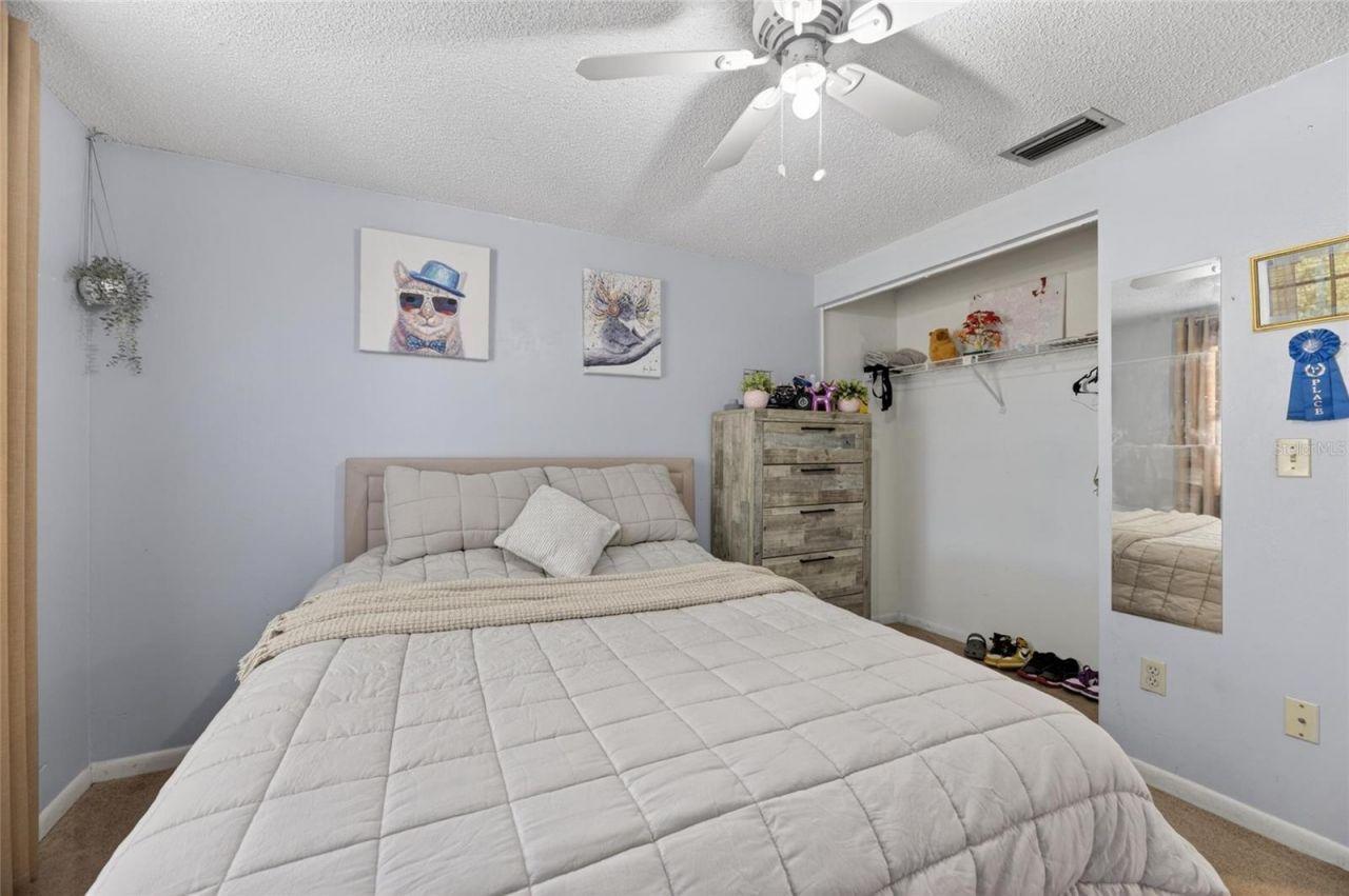 6609 Jennifer Drive, Temple Terrace, FL 33617 Photo