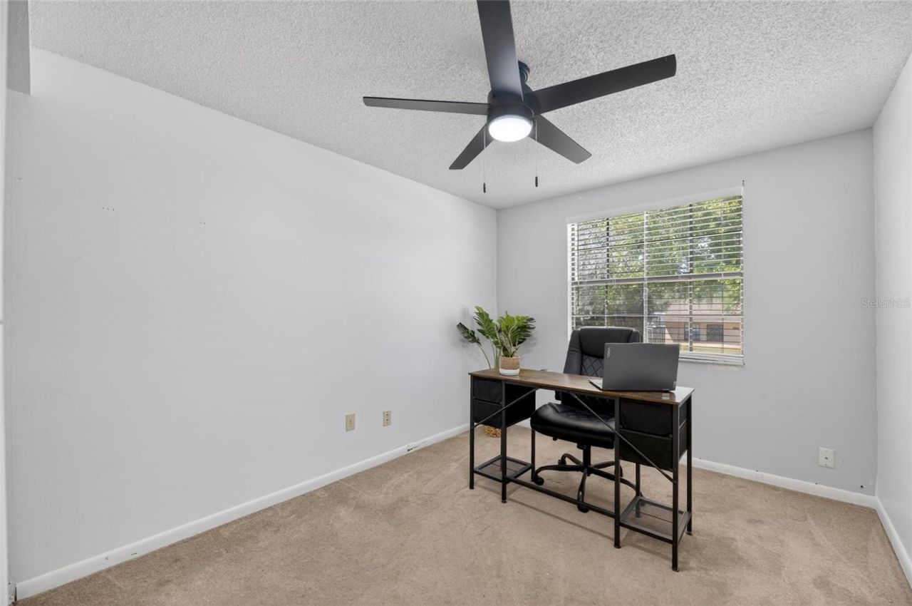 6609 Jennifer Drive, Temple Terrace, FL 33617 Photo