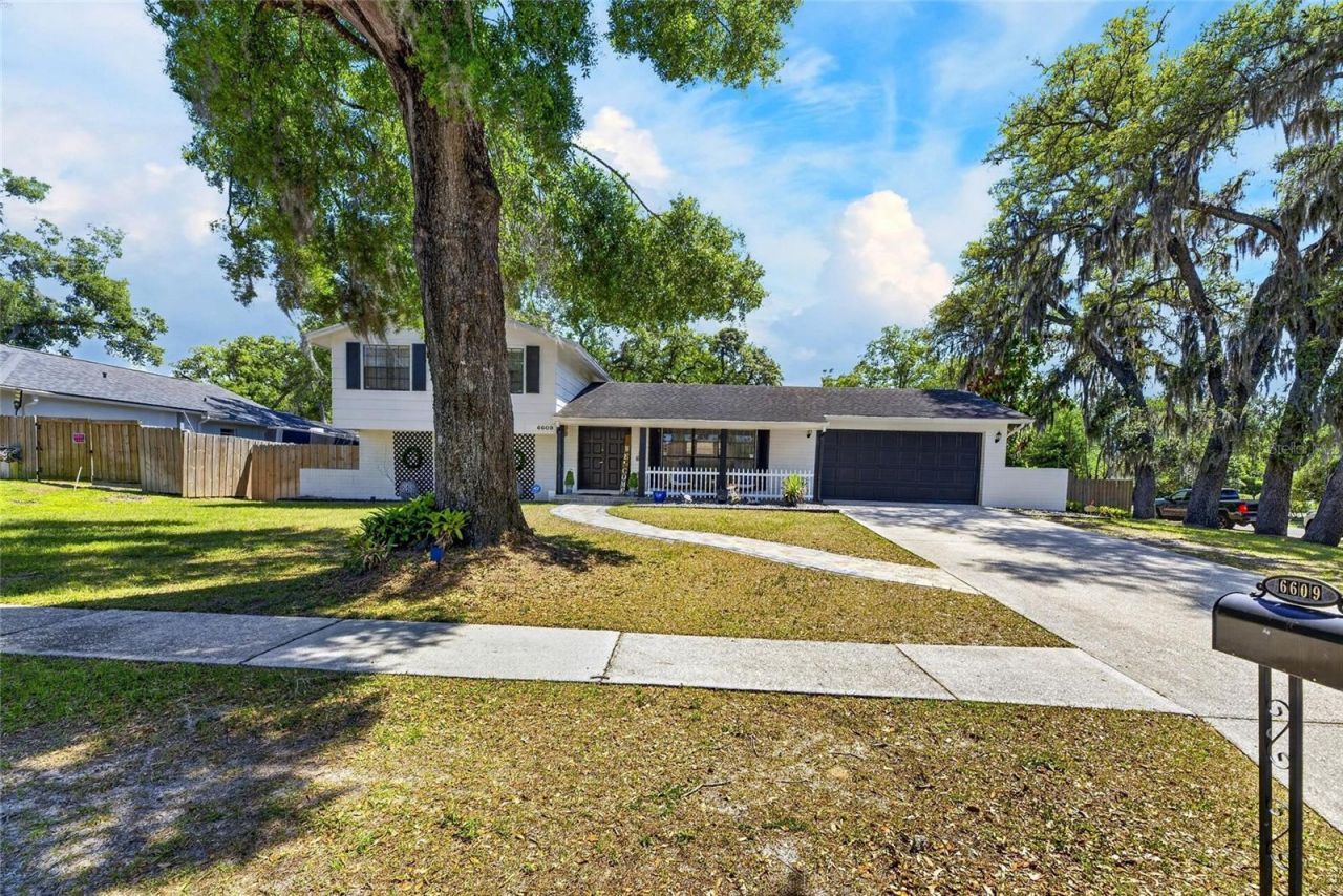 6609 Jennifer Drive, Temple Terrace, FL 33617 Photo